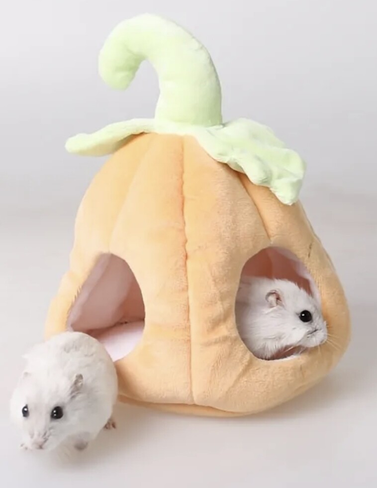 Pumpkin Pouch ?