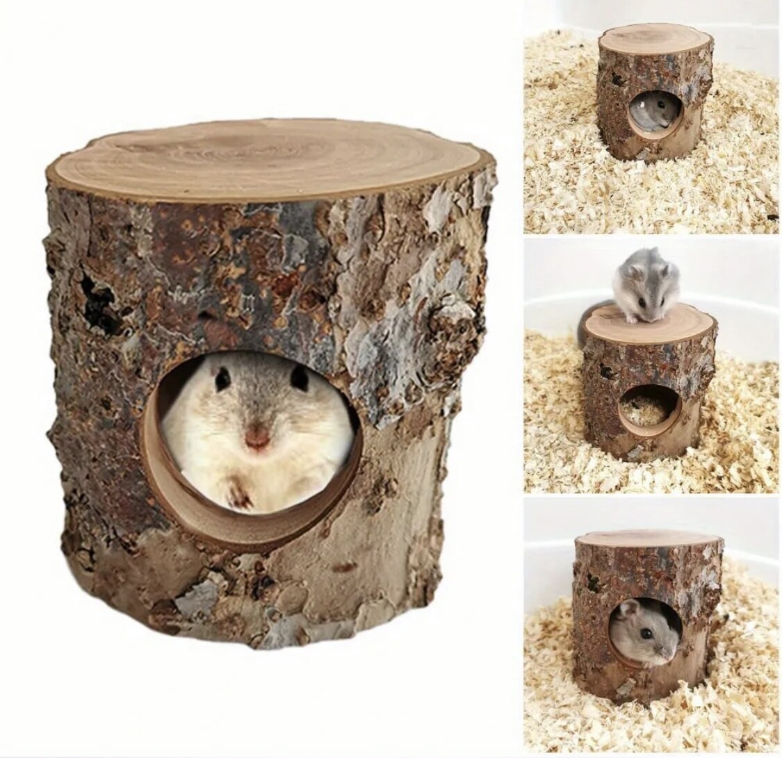 Natural Wooden Stump