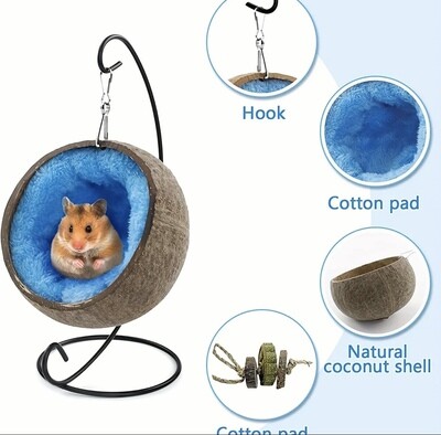 Hanging Coconut Swing