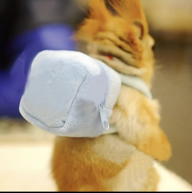 Backpack (Extra Small)