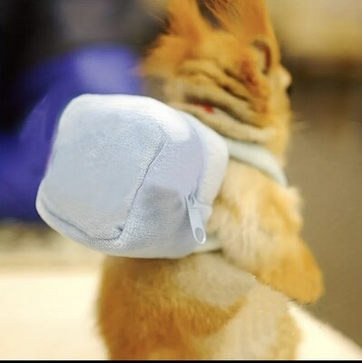 Backpack (Extra Small)