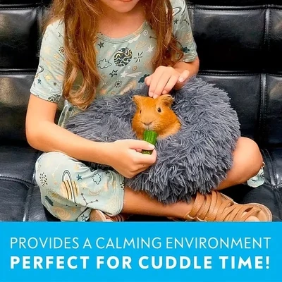 Burrowing Pet Bed