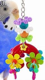 Flower Power Toy?