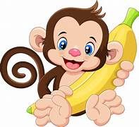 Banana Protein Powder?