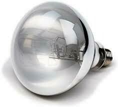 UVB/UVA, UVB/UVA Lighting: UVB/UVA Bulb