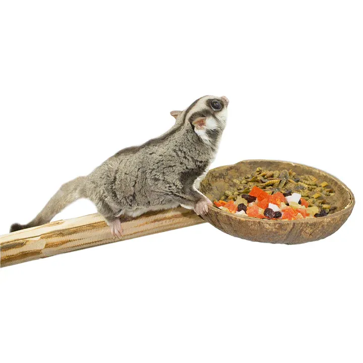 Coconut Cup Perch ?