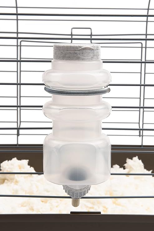 Water Bottle (Top Fill)