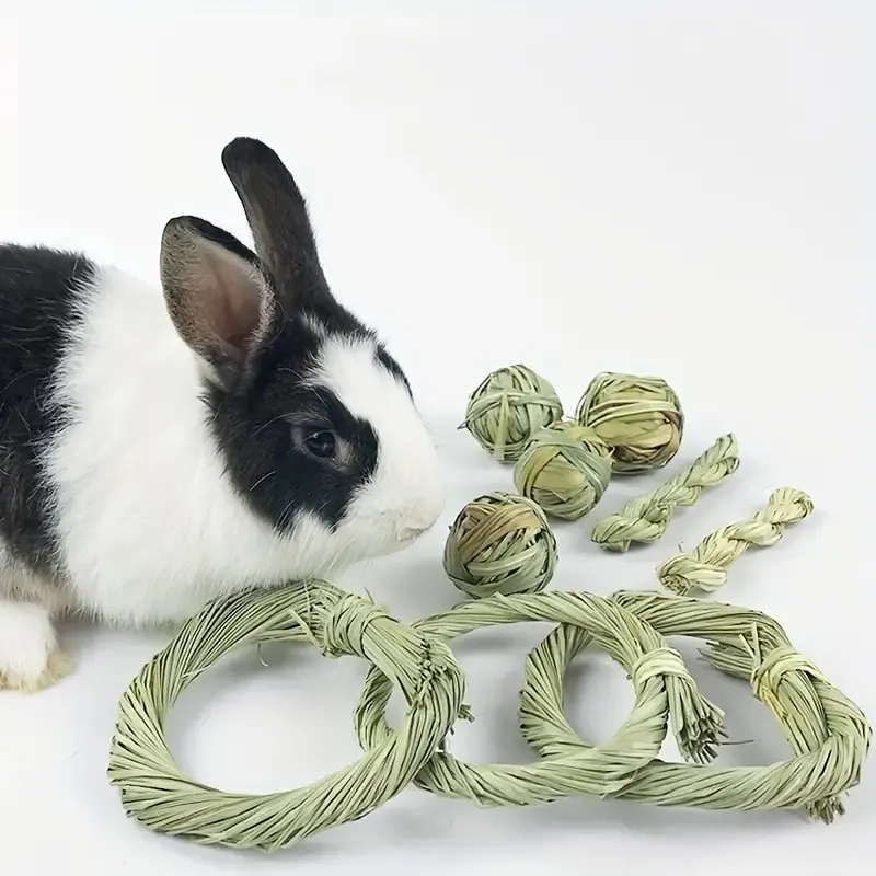 Chew Toys?