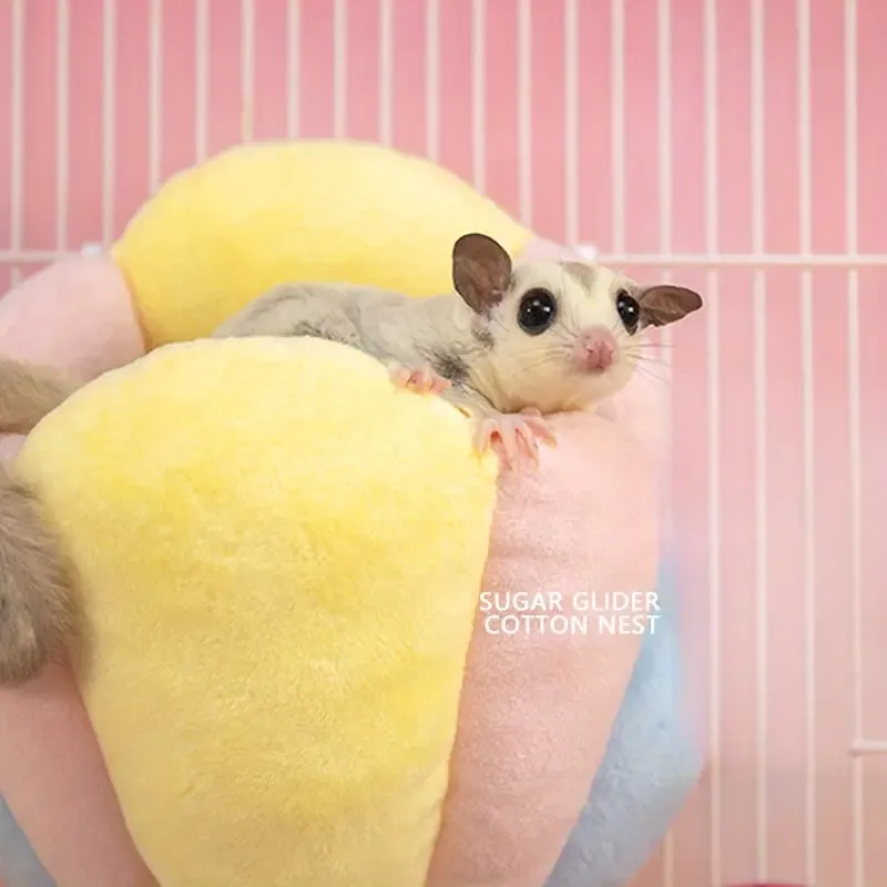 Rainbow Cozy Nest