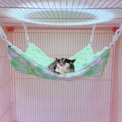 Hammock