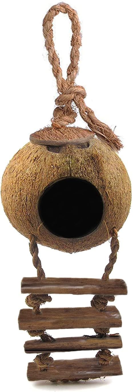 Coconut Nest