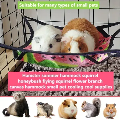 Melon Hammock?