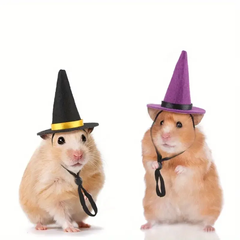 Halloween Hat