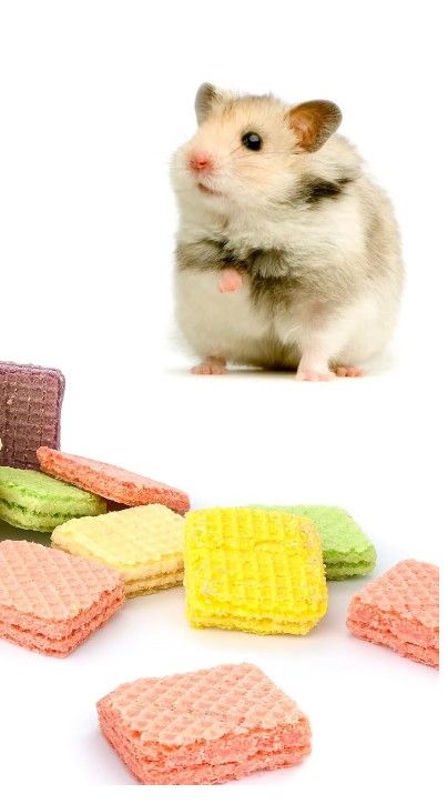 Crunchy Critter Wafers?