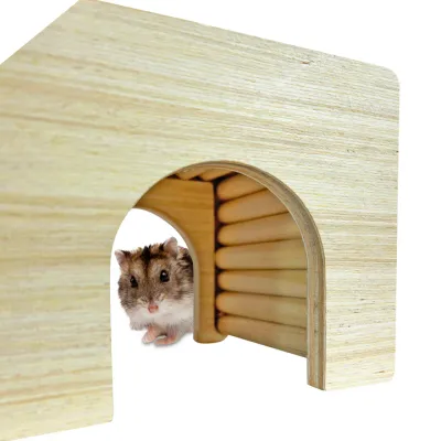 Critter Climber Cave