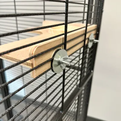Critter Corner Ledge
