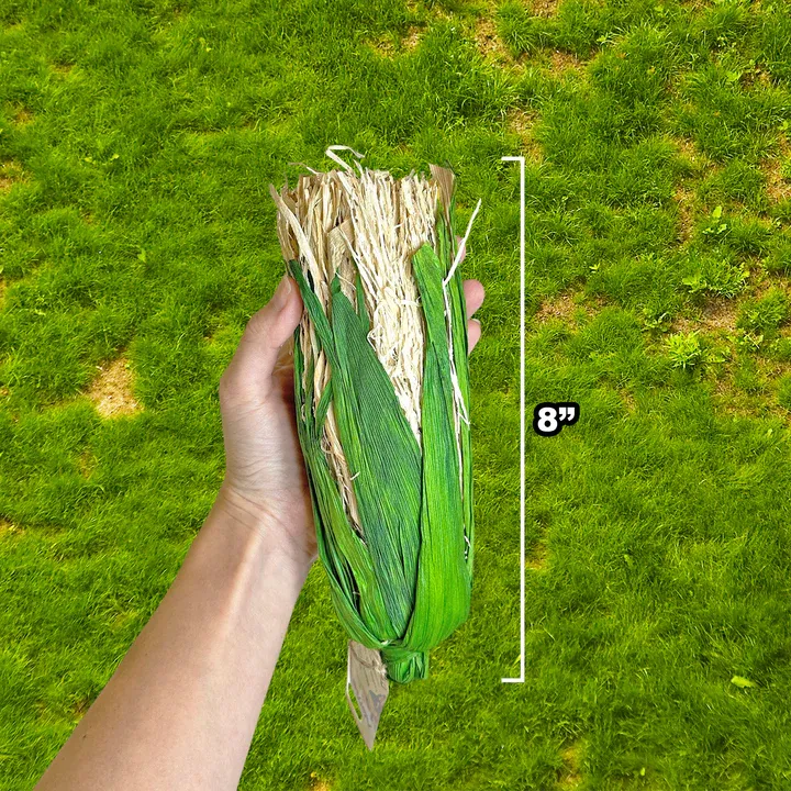 Maize Corn ?