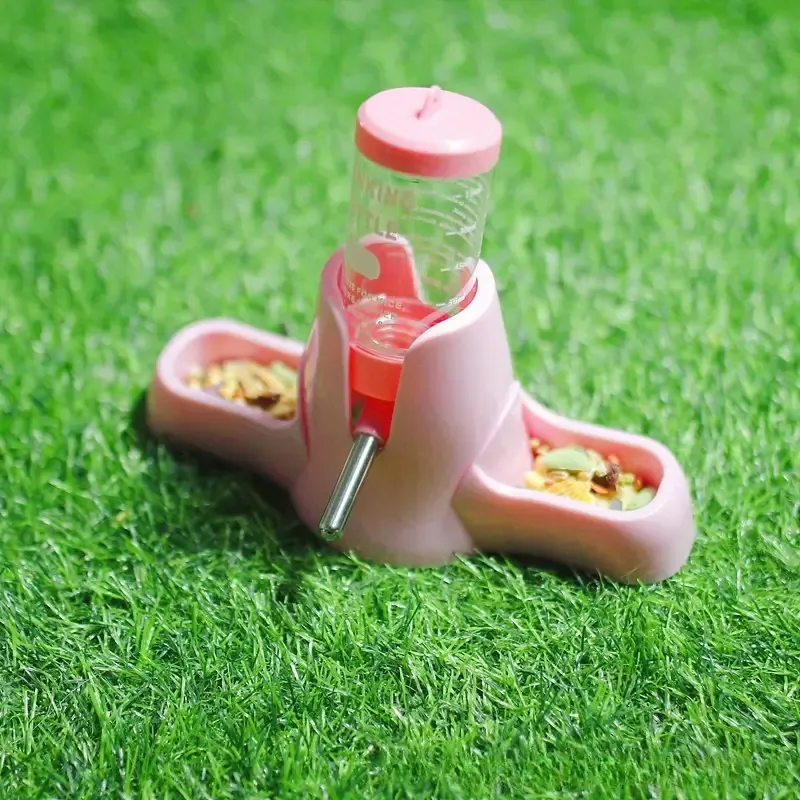 3 in 1 Water Bottle