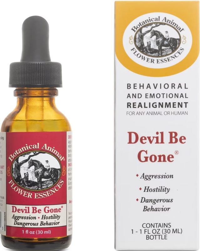 Devil Be Gone