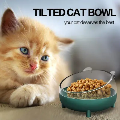 Food Bowl (Tilted)