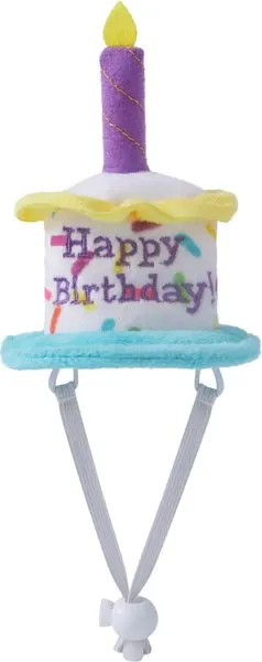 Birthday Hat?