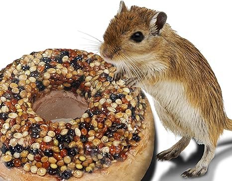 Bagel Mineral Block