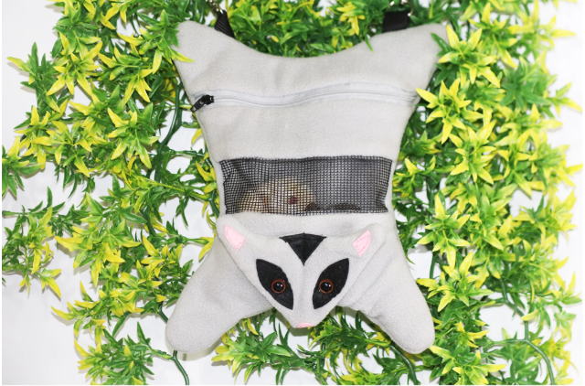 Glider Face Carry Pouch