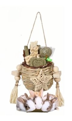 Basket of Chew Treats