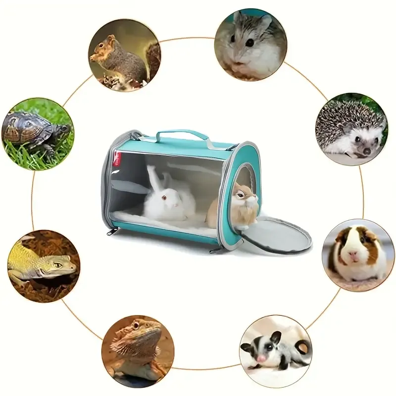 Clear Carrier