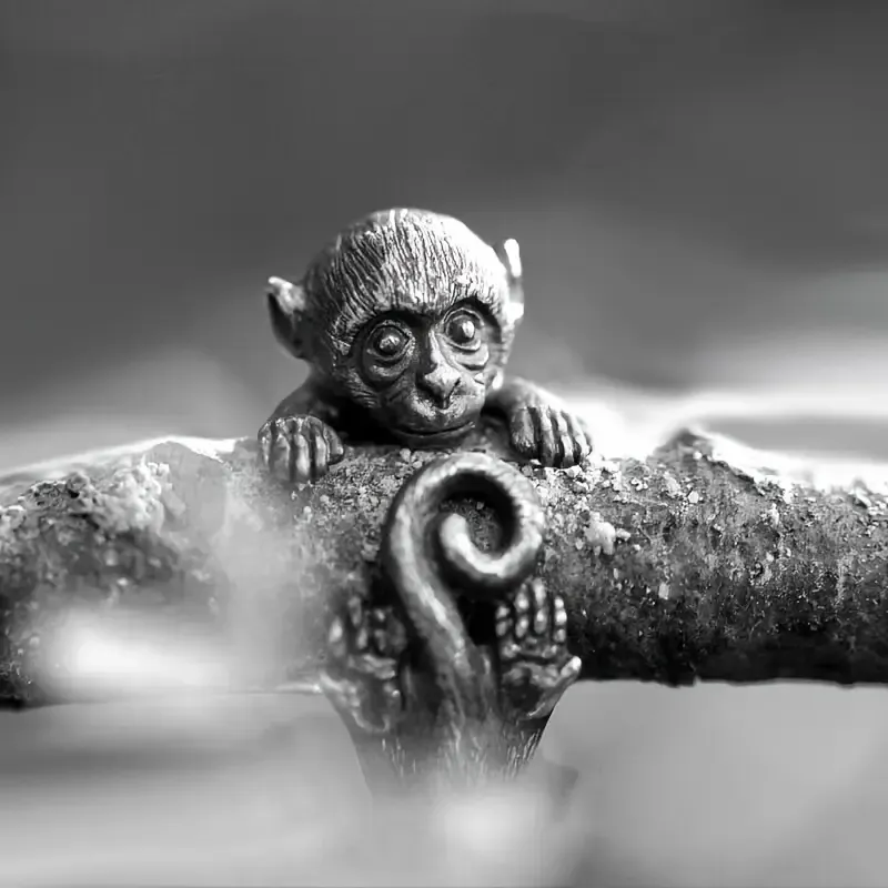Monkey Ring