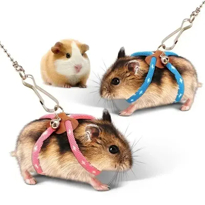 Small Pet Harness Leash