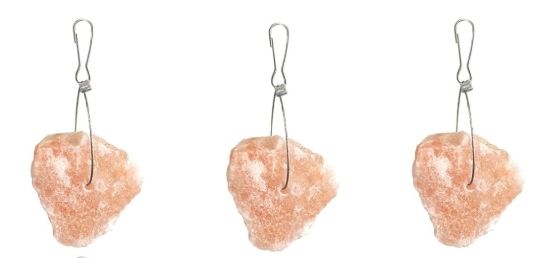 Pink Salt Licks