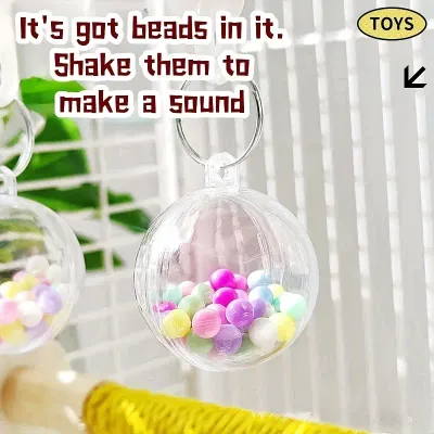Bead Ball Toy