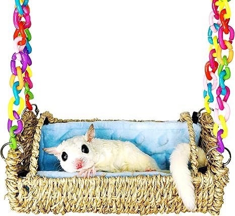 Bed Swing