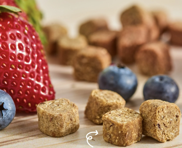 Berry Oat Bites?