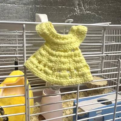 Crocheted Baby Monkey Dresses