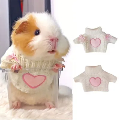 Sweater /Pink Heart?