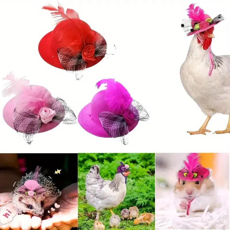 Pet Hat
