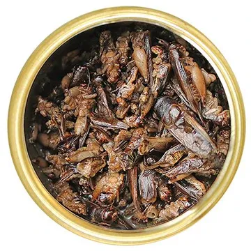 Canned Insects ???