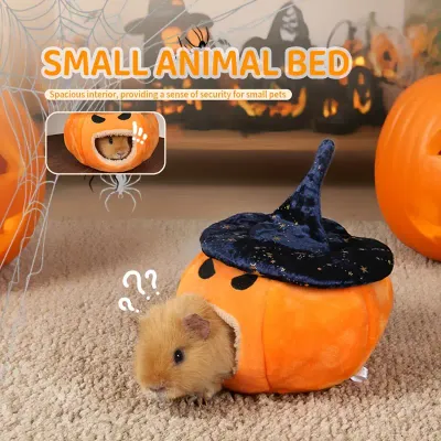 Pumpkin Hideout?