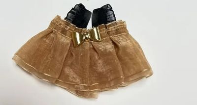 Golden Organza Dress