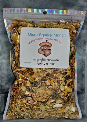 Micro-Squirrel Munch?️