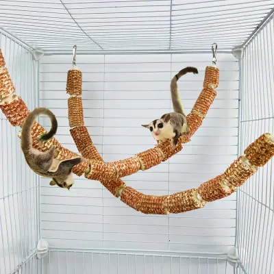 Corn Cob Rope Swing?