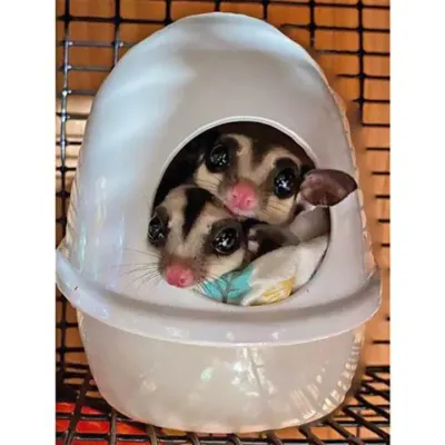 Press N' Slide No Mess Food, Water, Sleep or Waste Station