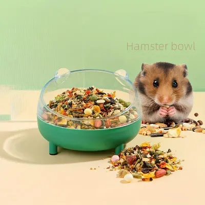 Food Bowl (Tilted)