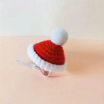 Santa Hat (Knit)