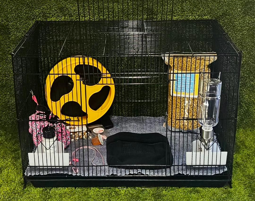 Sugar Glider Deluxe Starter Kit Sugar Glider Deluxe Starter Kit