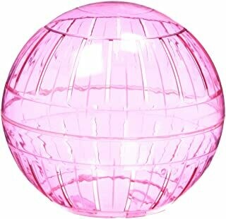 Exercise Ball