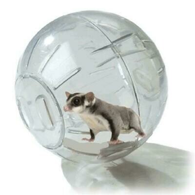 Exercise Ball