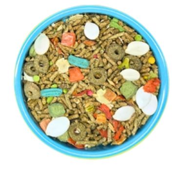 Degu Dinner